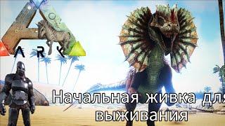 Начальная живка Ark Mobile