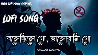 বলেছিলে গো,ভালোবাসি গো। Bolechile go, bhalobasi go lofi song। বলবোনা গো আর কোনো new song ।