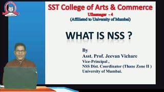 What is NSS?