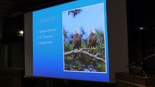 Tom Murphy's Spring Island Trust Talk:  Recovery of Eagles in South Carolina