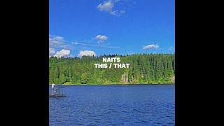 Naits - this / that (lyric video)