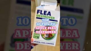 Nematode Power!  Ultimate Flea Destroyer Guide: 10 Pro Tips! 