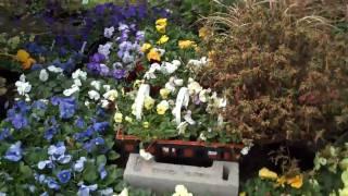 Flower & Plant Sales; Chris Orser Landscaping