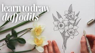 How to Draw Daffodils  Easy + Beginner Friendly Drawing Tutorial