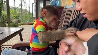 Dad panics discover Max missing and mysterious reason behind...