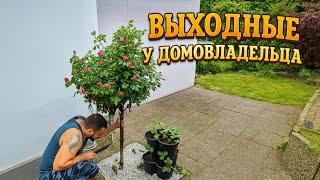ЧТО СОТВОРИЛ С УЧАСТКОМ СПЕРЕДИ  ДОМА  / НАША НЕДВИЖИМОСТЬ В ГЕРМАНИИ