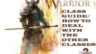 Guild Wars 2 (PvP Class Guide) Warrior