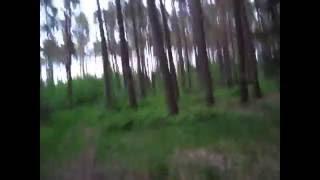 Hoia Baciu Forest ( The infamous Notorious Circle of Romania) 2015