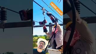 Подключает прямо к высоковольтному проводу чудеса в США Electrician сша энерголикбез
