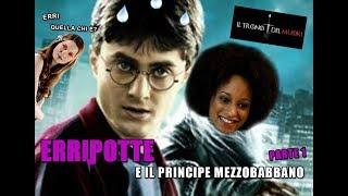 RIASSUNTO ACCURATISSIMO HARRY POTTER "ERRIPOTTE E IL PRINCIPE MEZZOBABBANO" PT1