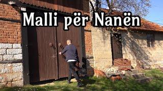 MALLI PËR NANËN  (Histori Popullore)