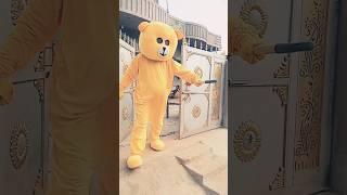 Teddy comedy mr careji funny #funny #teddycomedy #comedy #teddyworld #teddybear #crazycomedy 