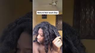 Preparing for wash day on 4c natural hair #4chair #hairoil #naturalhair #afrohair #twistout