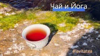О зелёном с берегов Чёрного! Целебные свойства Чая #аюрведачай #lavitatea