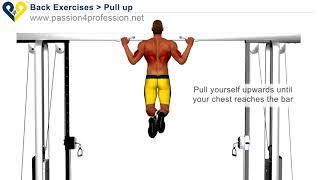 How To Do Pull Up Exercise | Fit Nomads | Nomad Workout