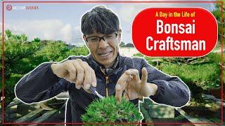 A day in the life of a 〈Japanese Bonsai Craftsman〉【meet my Kagawa】