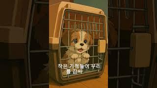 완두와 콩이의 하루 -  감성 자극ㅣ Playlist