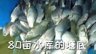 【戶外捕魚vlog】花12萬包下一口80畝水庫的塘底，塘主竟然還是我們的粉絲！