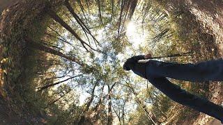 Onewheel Ride - Keller Bear Creek Trail