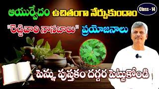 Learn Ayurveda | Free Classes 14 | Reddivari Nanubalu Health benefits | B Anjaneya Raju