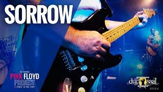 The PINK FLOYD Project | Sorrow | Ducsaal 24