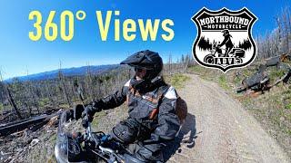 360 VR through a forest that was devastated by wildfire 4 years earlier ~ROYAL ENFIELD HIMALAYAN~