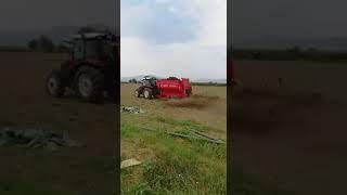 Ak ziraat Katı Gübre römorku tezekli gübreyi parçalıyor