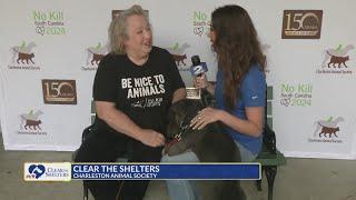 Clear the Shelters at Charleston Animal Society