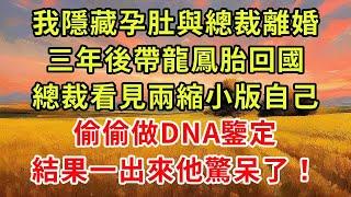 《太太，帶龍鳳胎回國了！》續集02 我隱藏孕肚與總裁離婚，三年後帶龍鳳胎回國，總裁看見兩縮小版自己，偷偷做DNA鑒定，結果一出來他驚呆了！