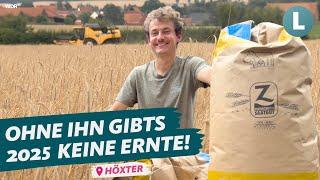 Roggen-Ernte 2024: So wird Bio-Saatgut hergestellt! | WDR Lokalzeit Land.Schafft.