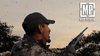 10,000,000 Doves on One Roost | Mark V. Peterson Hunting