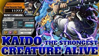 KAIDO GAMEPLAY | ONE PIECE BOUNTY RUSH | OPBR