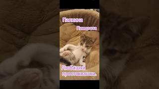 Папкина Пинцесса Любашка простоквашка.