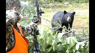 Une chasse à l'ours remplie d'action !