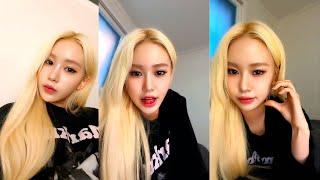 LAPILLUS (라필러스) BESSIE Tiktok Livestream [250511] 