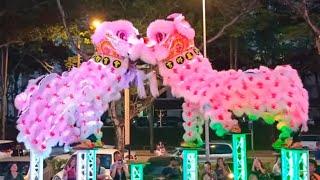 LED Acrobatic Lion Dance & LED Traditional Lion Dance