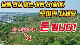 (역발상) 이런 땅(임야) 보이면 무조건 사세요! 토지투자 노하우 공익용산지에 투자해서 돈벌기