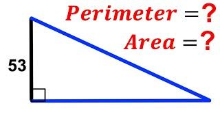 Can you find Perimeter and Area of the triangle? | (Right Triangle) | #math #maths | #geometry