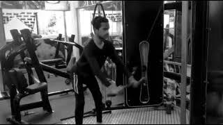 Beginners Gymer Back Workout