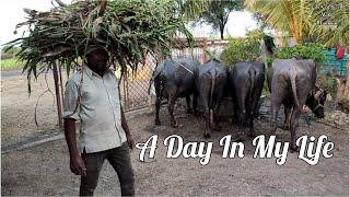 My Village Tour || Life Captured With Munmun