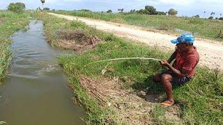 Fishing | Amazing fishing | Catching catfish & baam fish