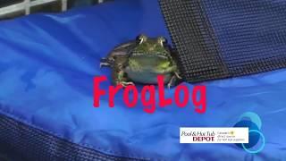 The FrogLog Animal-saving Escape Ramp for Pools