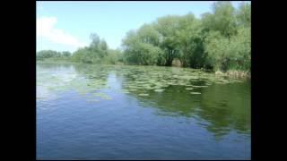 Danube Delta Romania - wildlife photos (Delta Dunarii)