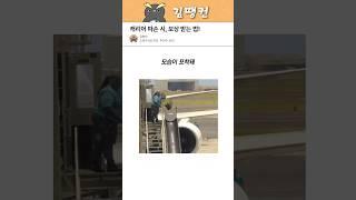캐리어 파손 시 보상 받는 방법 ㄷㄷ #꿀팁 #생활정보 #캐리어파손