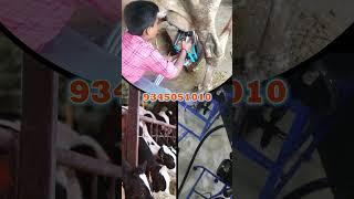 ₹4000 தள்ளுபடி...குறுகிய காலத்திற்கு மட்டுமே.. MDM MILKING MACHINES #cowmilkingmachine #farming