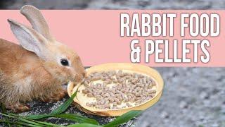 7 Best Rabbit Food & Pellets