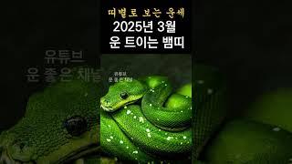 2025년 3월 기묘월 운 트이는 운좋은 뱀띠 운세! 띠별운세! 띠별로 보는 한달간 운세! #띠별운세 #2025년운세