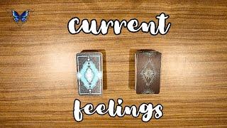  THEIR CURRENT  FEELINGS   Timeless Tarot Reading 