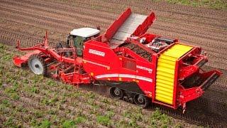 GRIMME VARITRON 470 TERRA TRAC | self-propelled Potato Harvester