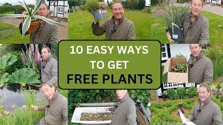 How to get FREE PLANTS for your garden. (10 top tips)